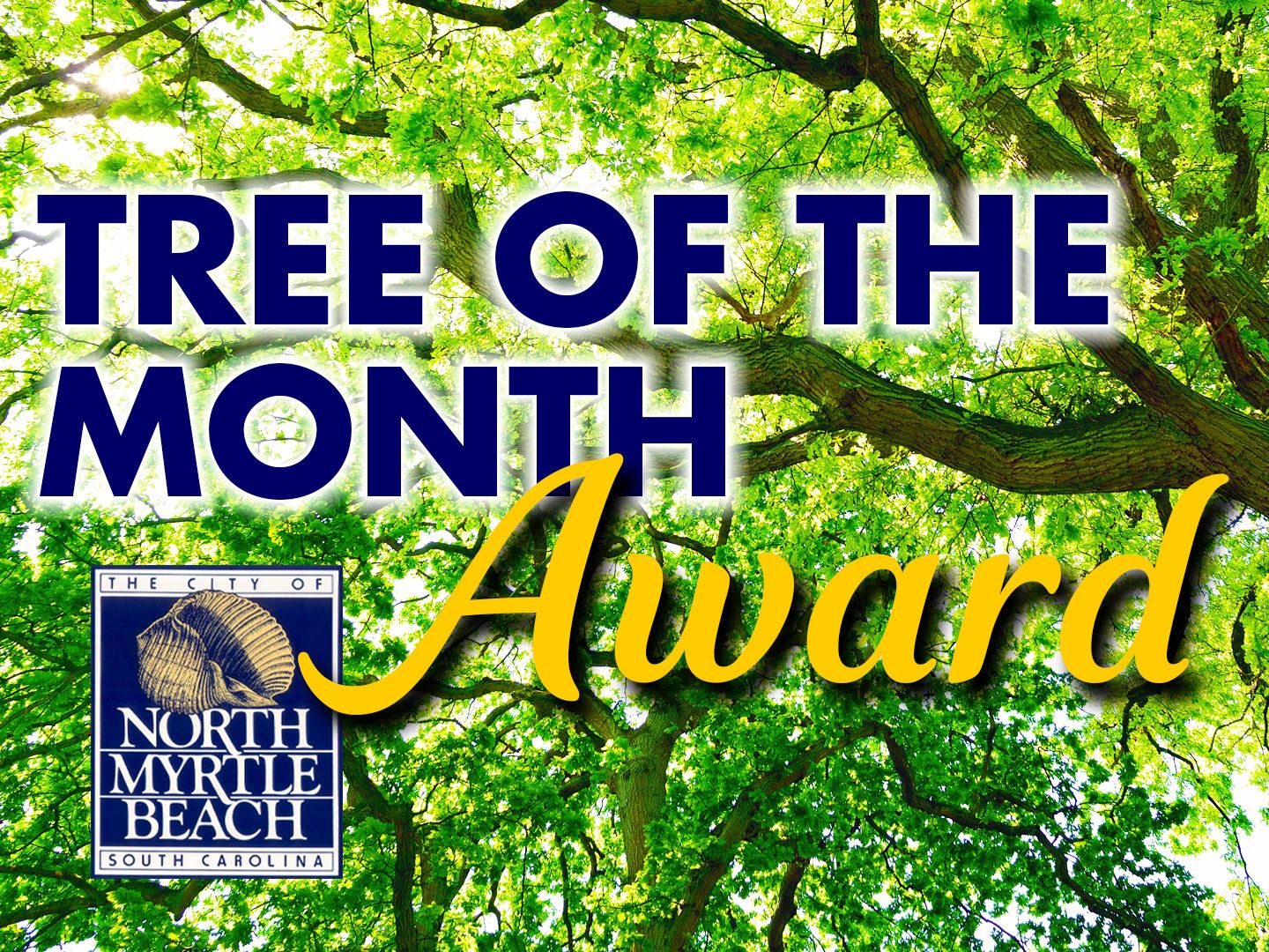 Tree-of-the-Month