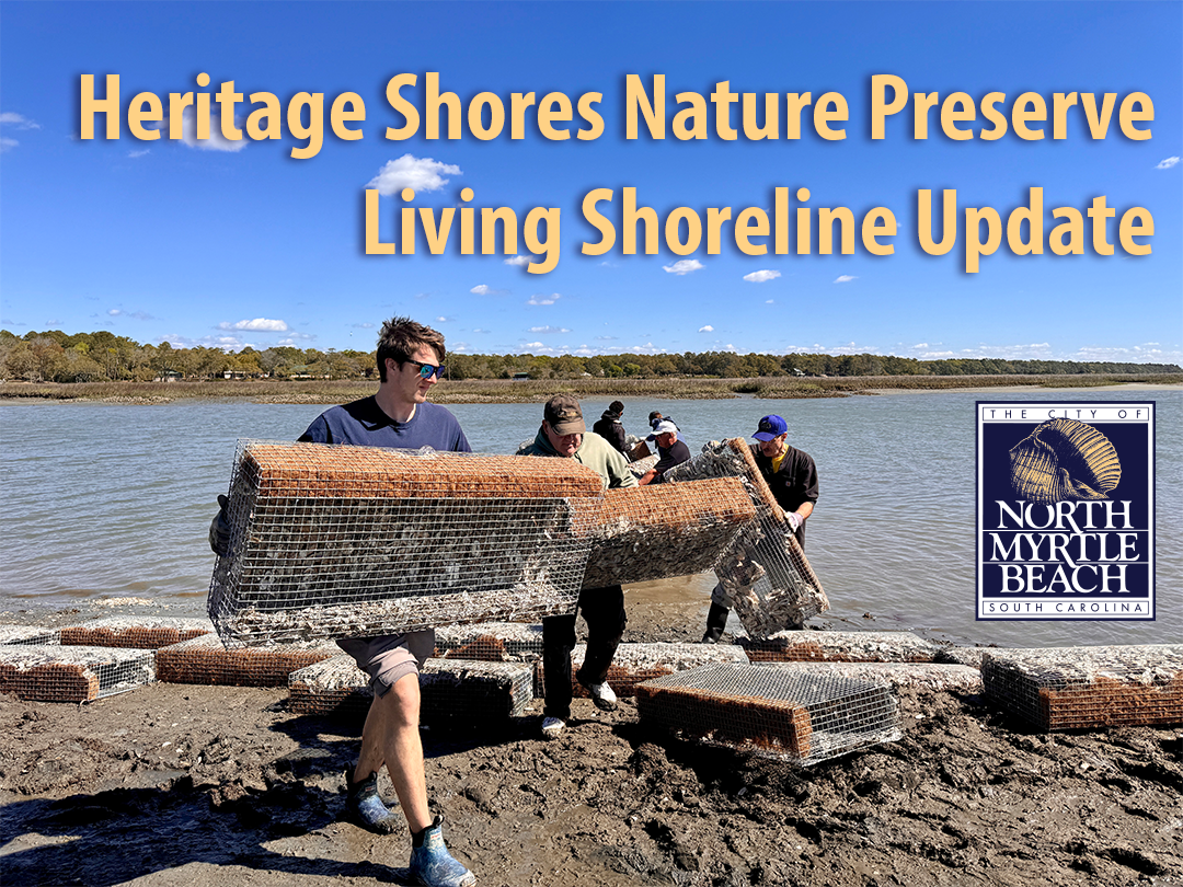 Living Shoreline Update
