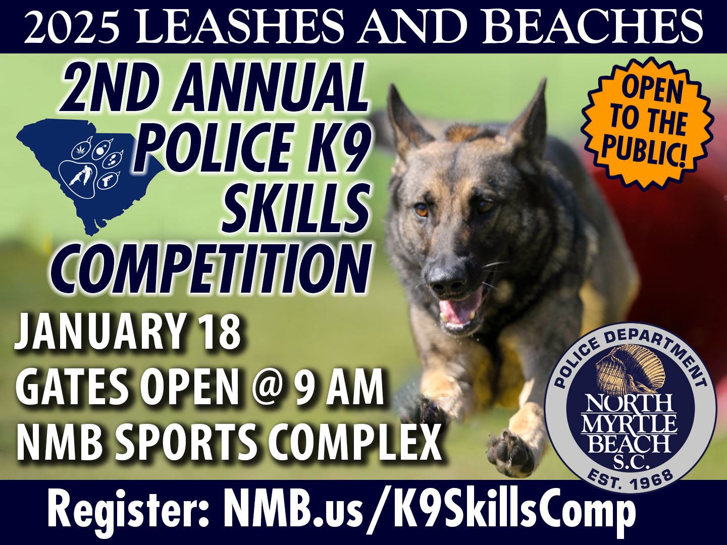 leashes-and-beaches-2025