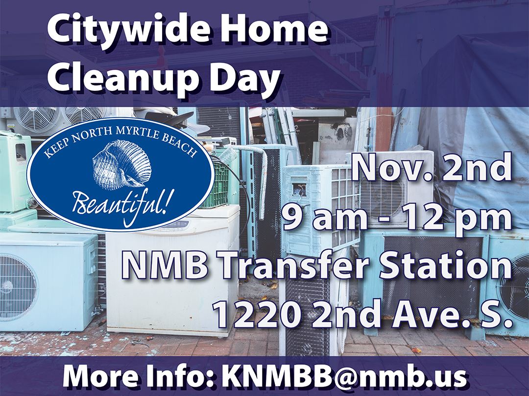Citywide Cleanup 2024