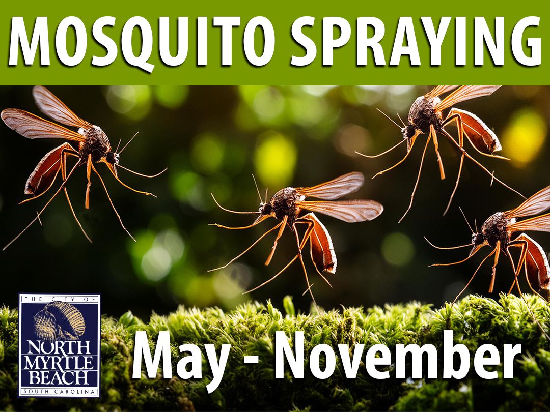 Mosquito Spraying 2025