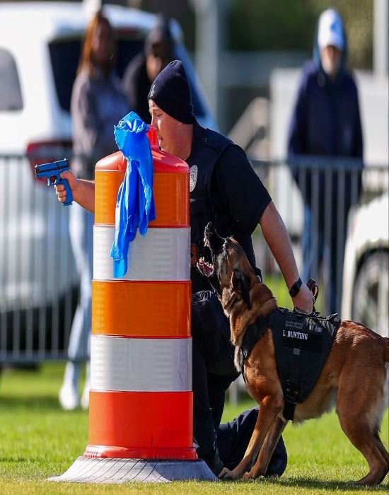 Leashes and Beaches Pic 1